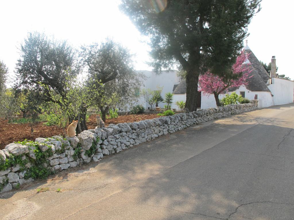 Casa Mario Cisternino Quarto foto